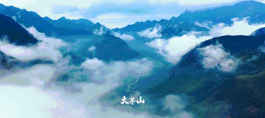 红红火火迎新春