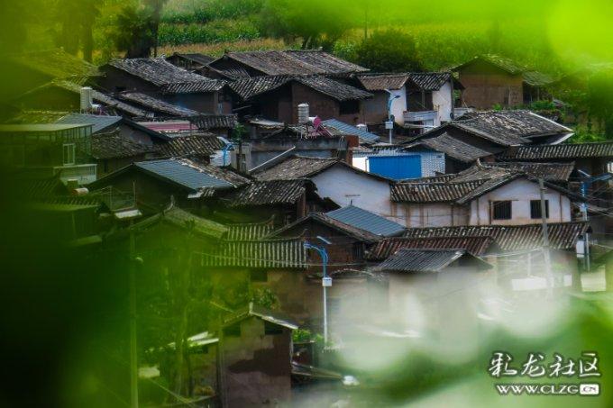 蝙蝠侠内敌