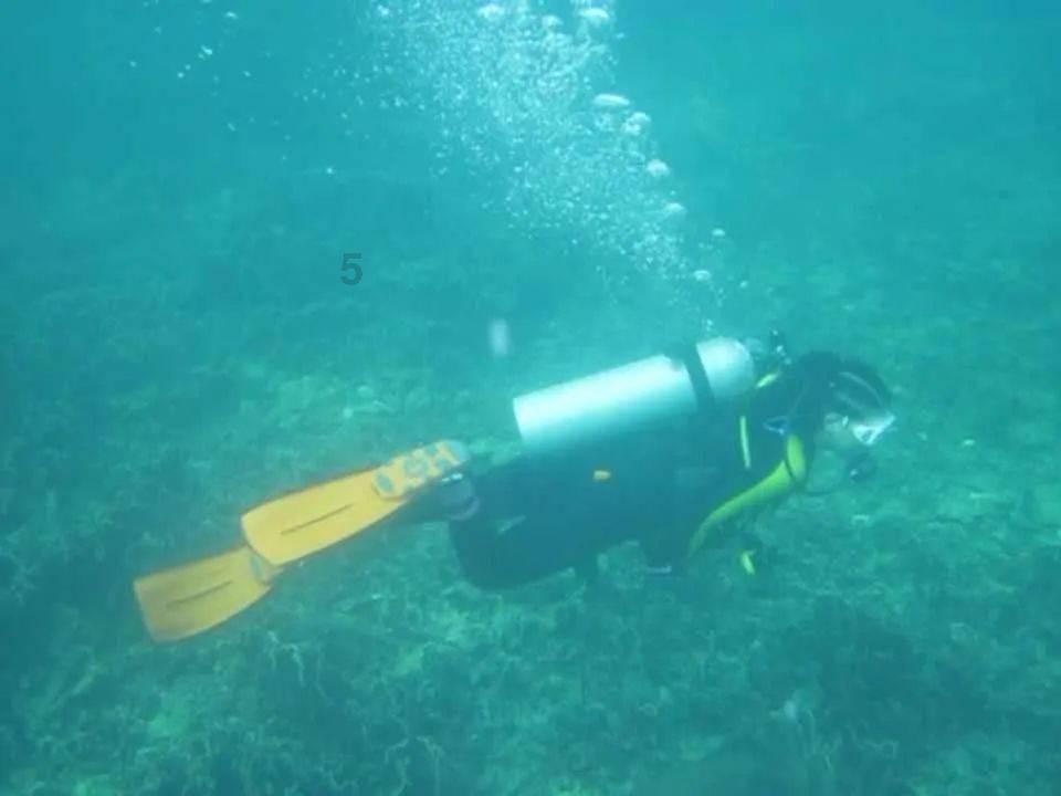 注意躲避