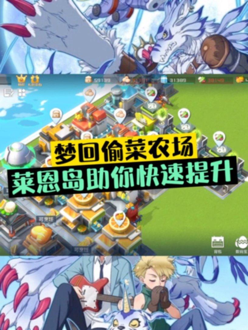 动物狂欢夜