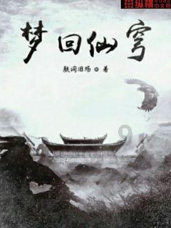 真三国无双8