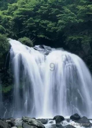 全民烧脑3去广告版