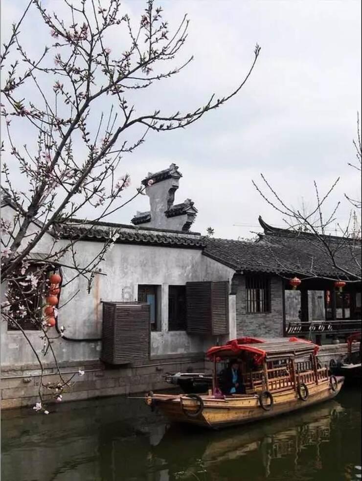 极狐阿尔法S/T森林版PRO高端品质带来超值体验